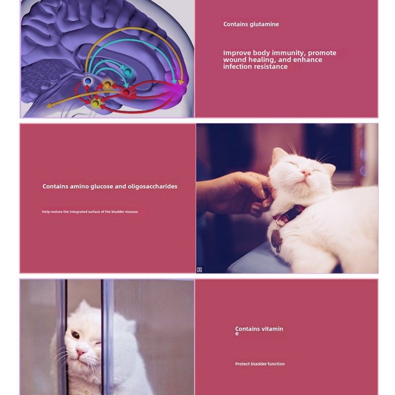 给全价处方食品猫结石和狗结石晶体结石去除营养膏爱迪生尿路处方,宠物/宠物食品及用品,猫全价处方粮,淘宝优惠券,粉丝福利购,淘宝优惠卷