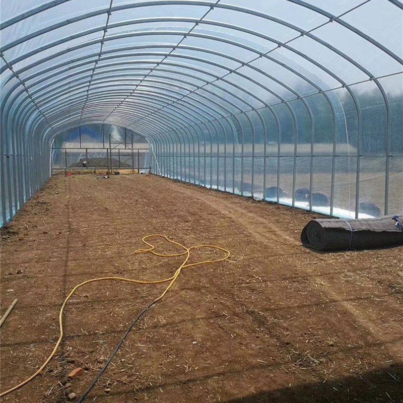 大棚钢管骨架农业养殖大棚椭圆管架温室暖棚定制蔬菜种植膜大全套