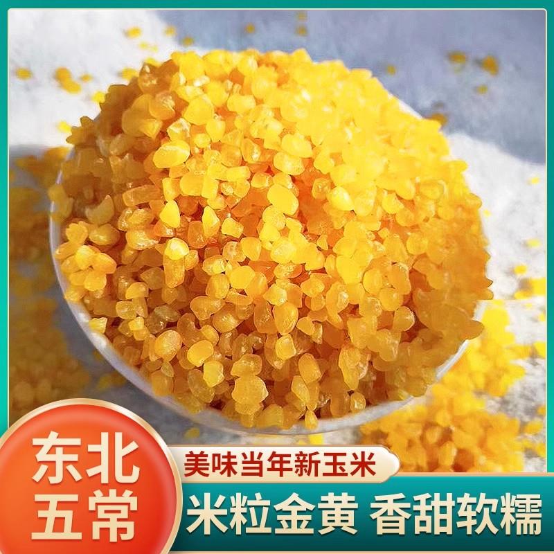 正宗玉米碴2023新货东北黄金糯玉米碴大碴粥粘吊子米饭伴侣玉米糊