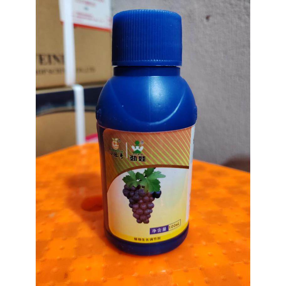 小旺哥 陕西大成 葡萄膨大剂 劲娃欧美 巨峰藤稔沪太甬优葡萄专用
