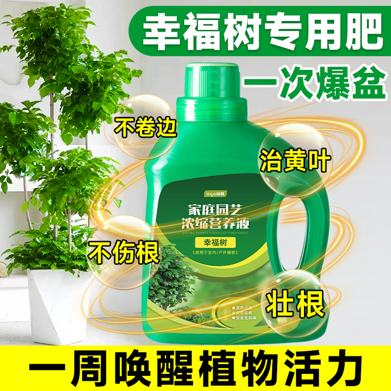 幸福树专用营养液肥料养花花肥绿植家用室内盆栽植物氮磷钾复合肥