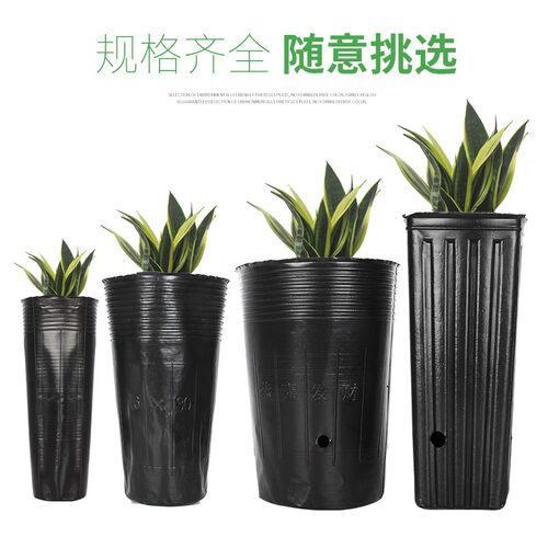 全新加厚黑色塑料营养钵 育x苗杯 植树袋 柑橘苗专用杯厂家直销