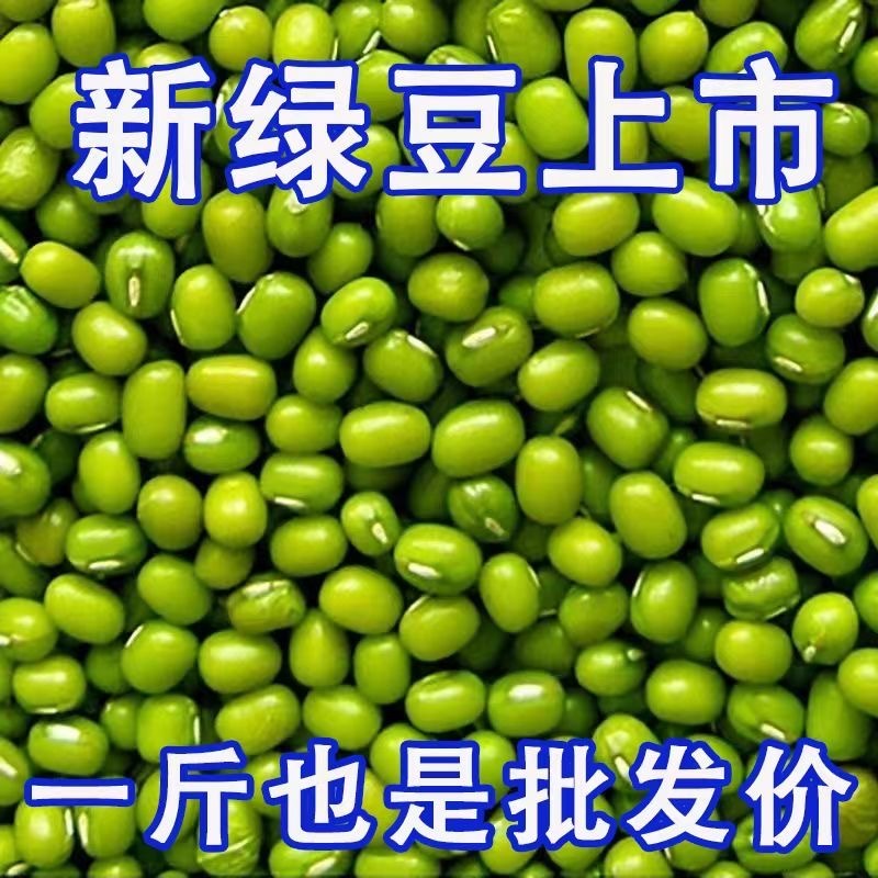 5斤新绿豆东北农家小绿豆粥绿豆沙糕绿豆汤新鲜豆芽五谷杂粮1斤