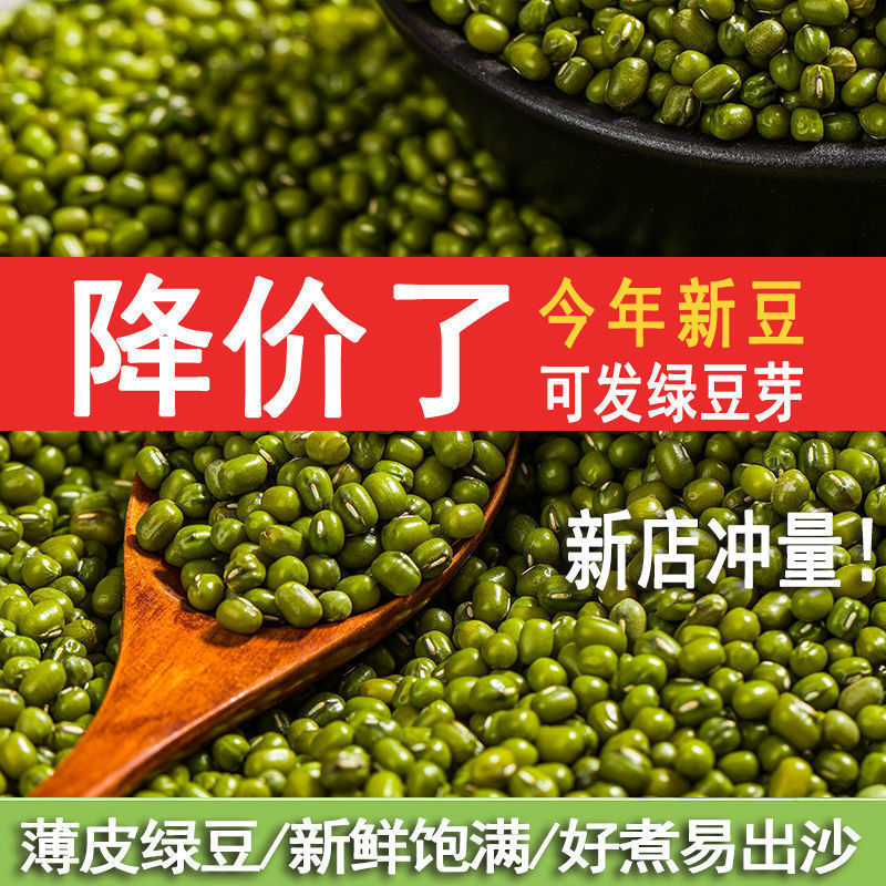 【净重】2025东北新鲜绿豆农家绿豆汤笨绿豆发芽新鲜滋补经典方