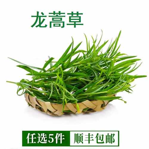 龙蒿草新鲜香艾菊100g法国Tarragon他拉根香草西餐香料法式料理