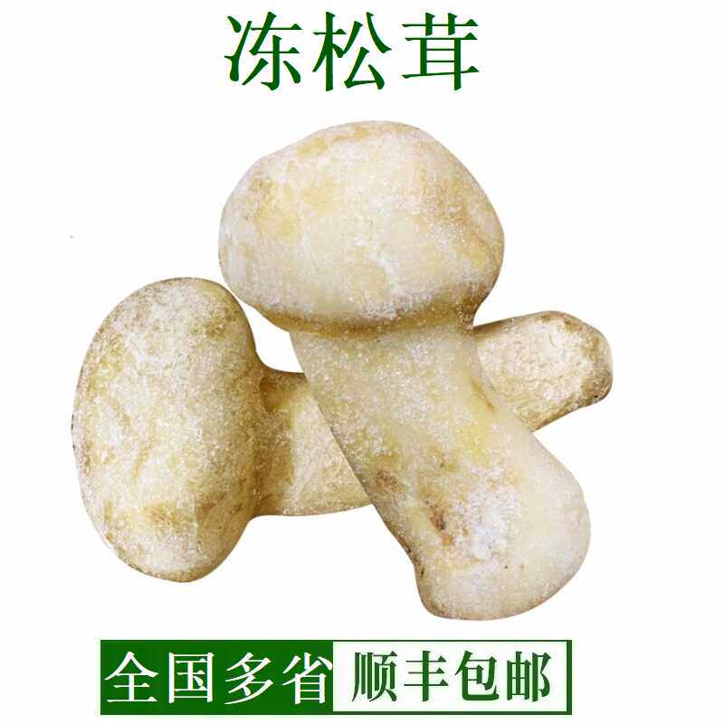 云南特产香格里拉速冻松茸冰冻新鲜松茸菌菇冰鲜松茸500g顺丰包邮