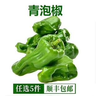 青泡椒虎皮青椒新鲜薄皮不辣的辣椒农家自产虎皮菜椒现摘蔬菜1斤