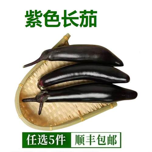 新鲜紫色长茄子应季现摘烧烤茄蒜紫茄子不催熟农家自种蔬菜500g