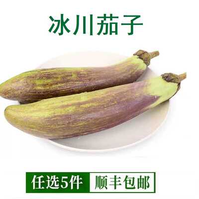 冰川茄子500克新鲜蔬菜酒店烧烤脆皮茄子云南缅甸花茄子糯长茄子