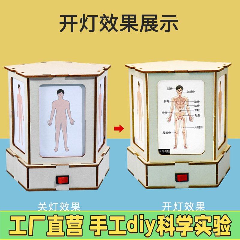 DIY科技小制作人体结构观察灯认识身体模型小学生手工拼装实EC86