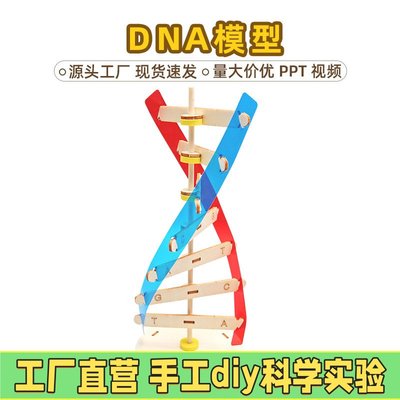 科技小制作手工diyDNA双螺旋结构模型人体基因生物科学实验器EC19