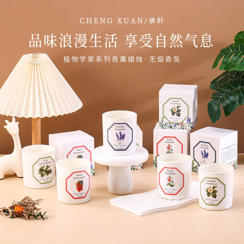 法国植物学家香薰蜡烛薄荷玫瑰