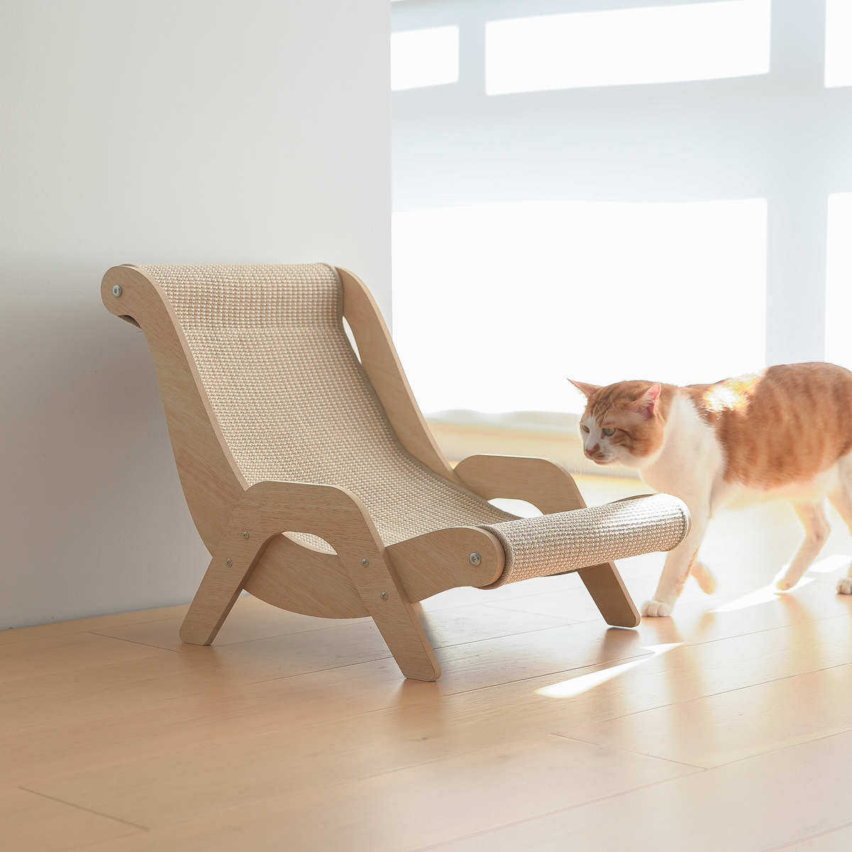 猫咪窝剑麻睡觉防抓沙发磨爪板吊篮床藤编躺椅人宠物用品夏季通用,宠物/宠物食品及用品,猫窝/屋/帐篷/沙发,淘宝优惠券,粉丝福利购,淘宝优惠卷