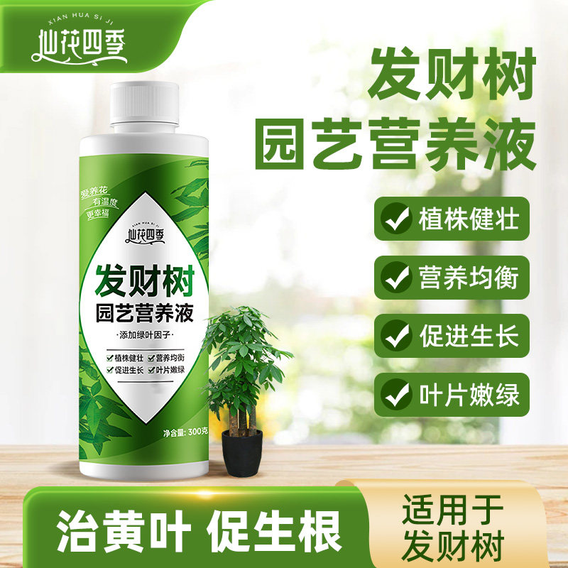 仙花四季发财树园艺营养液植物通用型盆栽家用花卉肥料水溶叶面肥,鲜花速递/花卉仿真/绿植园艺,家庭园艺肥料,淘宝优惠券,粉丝福利购,淘宝优惠卷