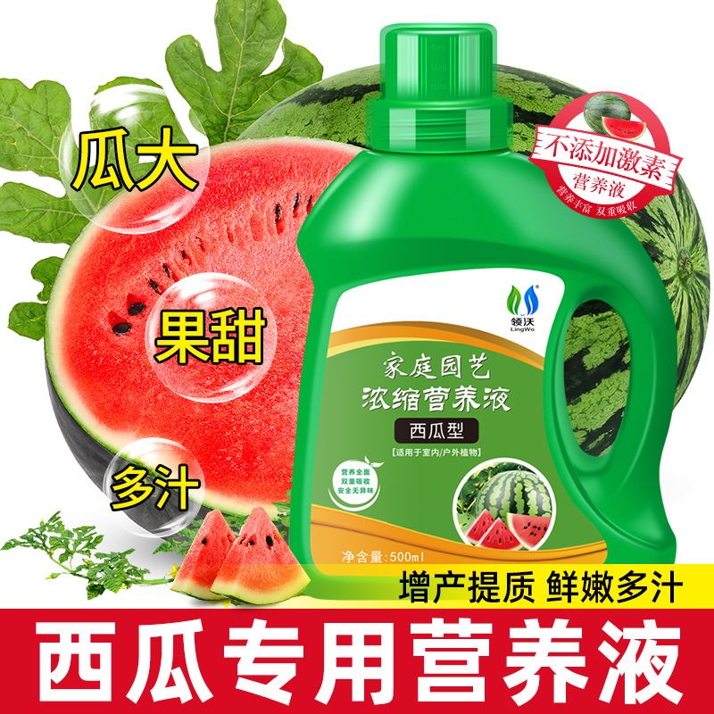 西瓜肥料专用肥营养液家用果树绿植盆栽膨果增甜水溶肥植物通用型