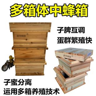 多箱体中蜂箱gn箱国宝箱式双层全套新型杉木子蜜分离蜜蜂养殖工具