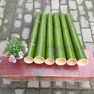 斑竹竹筒毛竹鲜竹筒饭竹碗杯子竹栅栏蒸筒插花筒竹吊灯原竹子材料