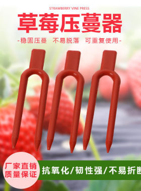 草莓压蔓器纯原料圆口压苗叉生根固定夹子藤曼固定器西瓜塑料叉子