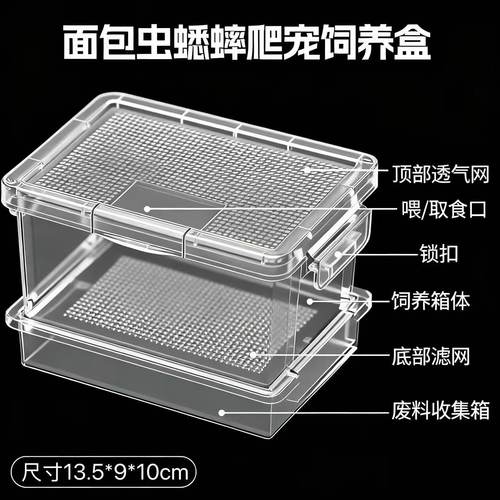 面包虫九龙大麦虫蟋蟀蛐蛐蜘蛛