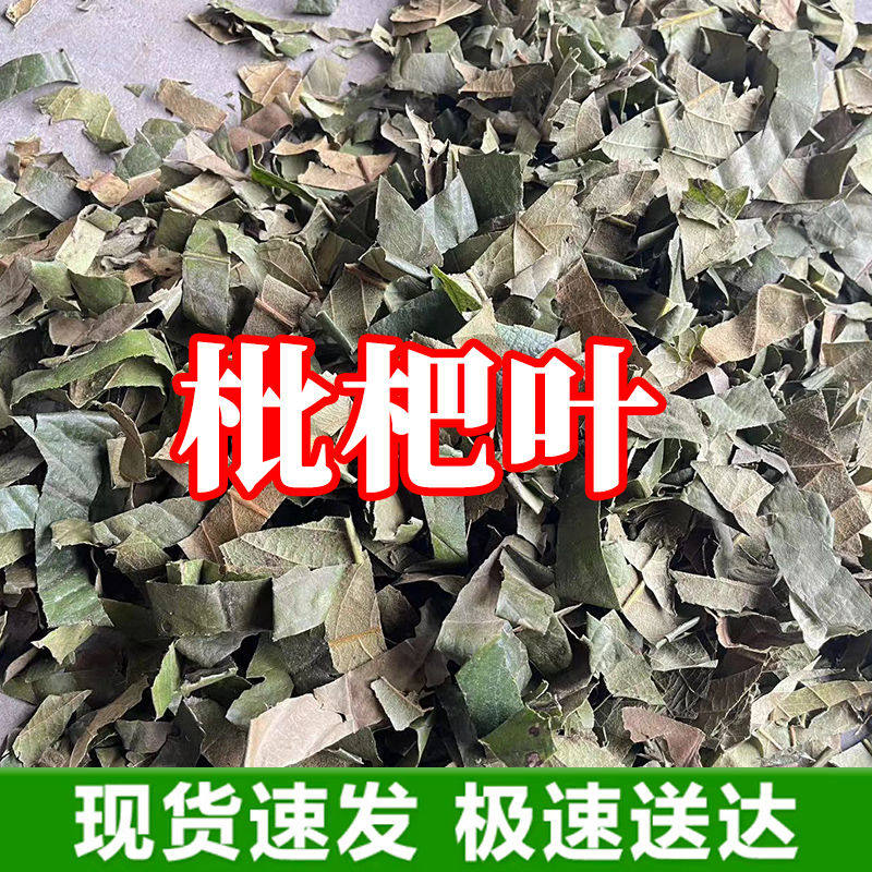 野生枇杷叶干货正品无硫新货枇杷叶茶泡水喝泡茶干枇杷叶