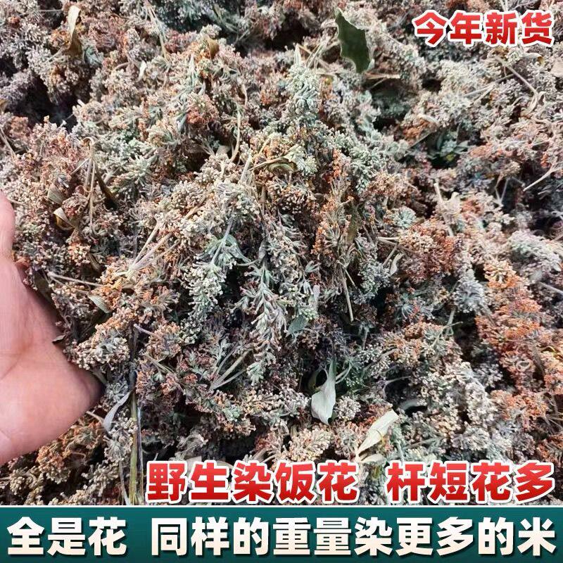 野生密蒙花干货新货密蒙花染饭花蜜蒙花茶护眼茶无硫染饭花茶