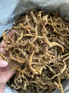 深山玉竹无硫玉竹磐安玉竹条野生干货药材可搭配麦冬沙参泡茶煲汤