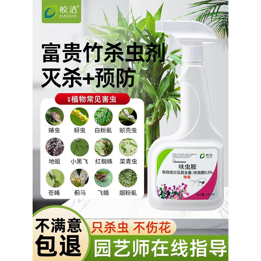 富贵竹杀虫剂花卉植物土壤灭盆栽小飞虫药蚧壳虫蚜虫打虫家用治虫