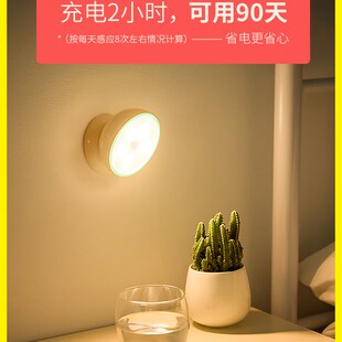 人体自动感应小夜灯充电池款声控楼道楼梯过道家用无线走廊壁灯起