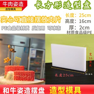 和牛刺身姿造摆盘模具网红烤肉店牛肉火锅高档餐具立体冰柱造型盘