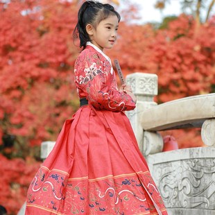 儿童汉服古装男童中国风明制交领女童唐装锦衣卫武侠龙纹服飞鱼服