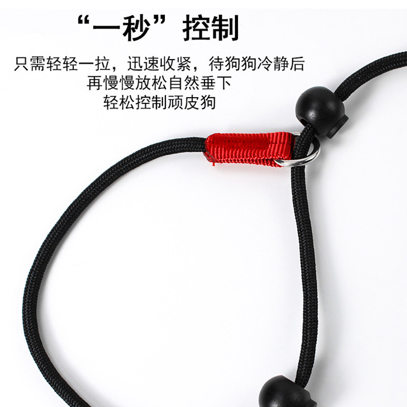 宠物牵引绳赛级训犬p绳小型犬幼犬狗狗中大型犬防爆冲P链遛狗绳子