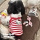 夏季 衣服泰迪比熊雪纳瑞宠物小型幼犬博美背心猫咪 吊带小狗狗薄款