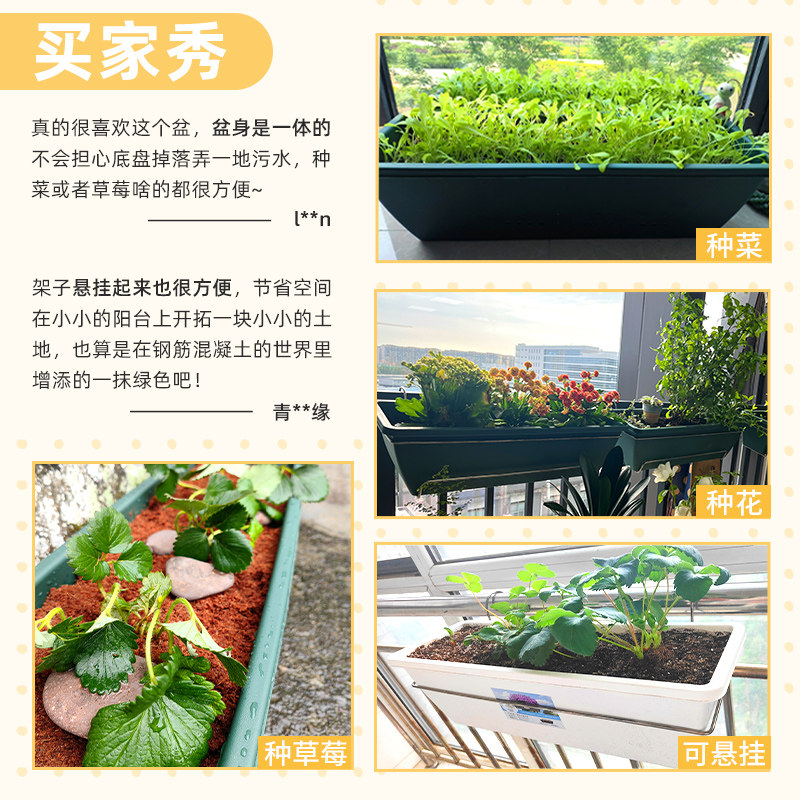 阳台草莓专用长方形种植盆网红挂式花盆塑料种菜霍伦盆栽家庭室外,鲜花速递/花卉仿真/绿植园艺,花盆,淘宝优惠券,粉丝福利购,淘宝优惠卷