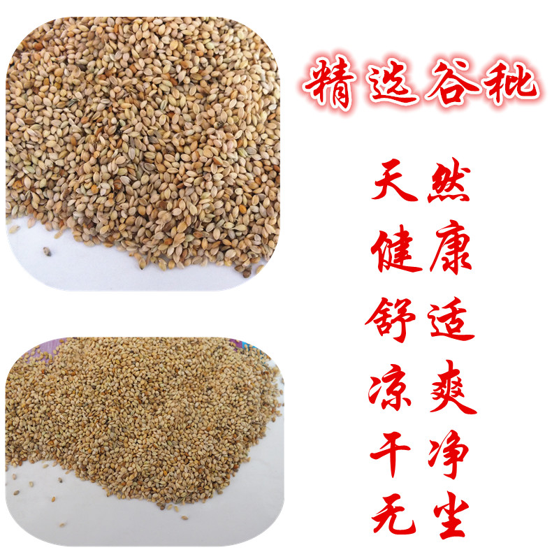 谷糠谷秕子枕芯包邮成人单人学生保健护颈枕谷瘪子谷子壳秕谷枕头