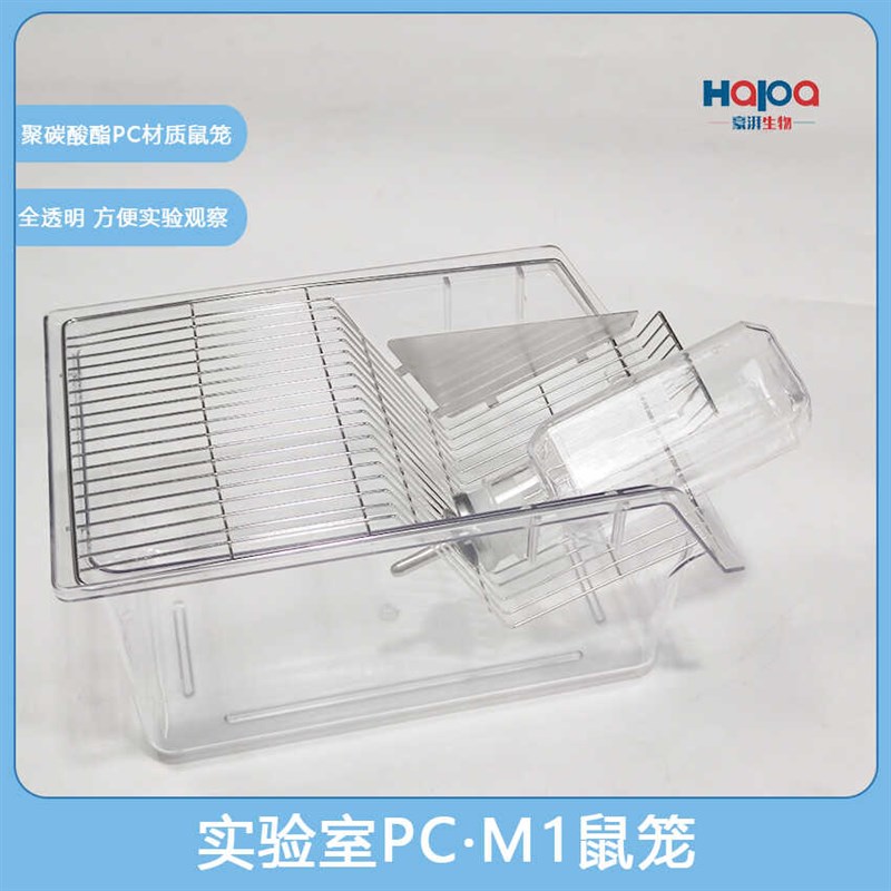 速发笼C大号全透明材质大小鼠笼实验小M1室白鼠饲养笼P子材质透明