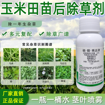 玉米苗后除草剂硝烟秀去津