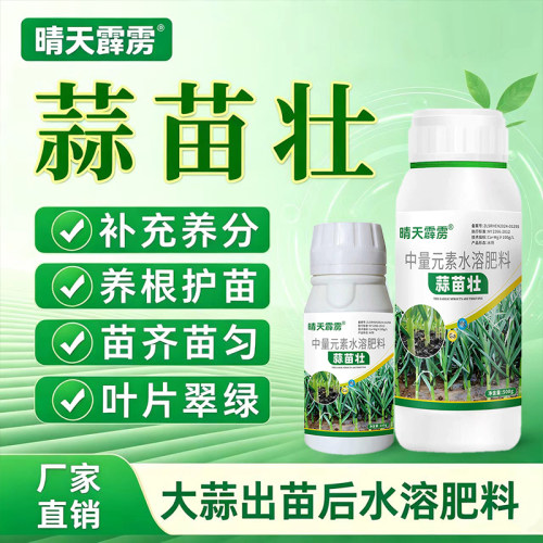 【大蒜叶面肥】大蒜返青抽苔叶面肥蒜苔抽苔蒜苗拉长蒜头防治干尖