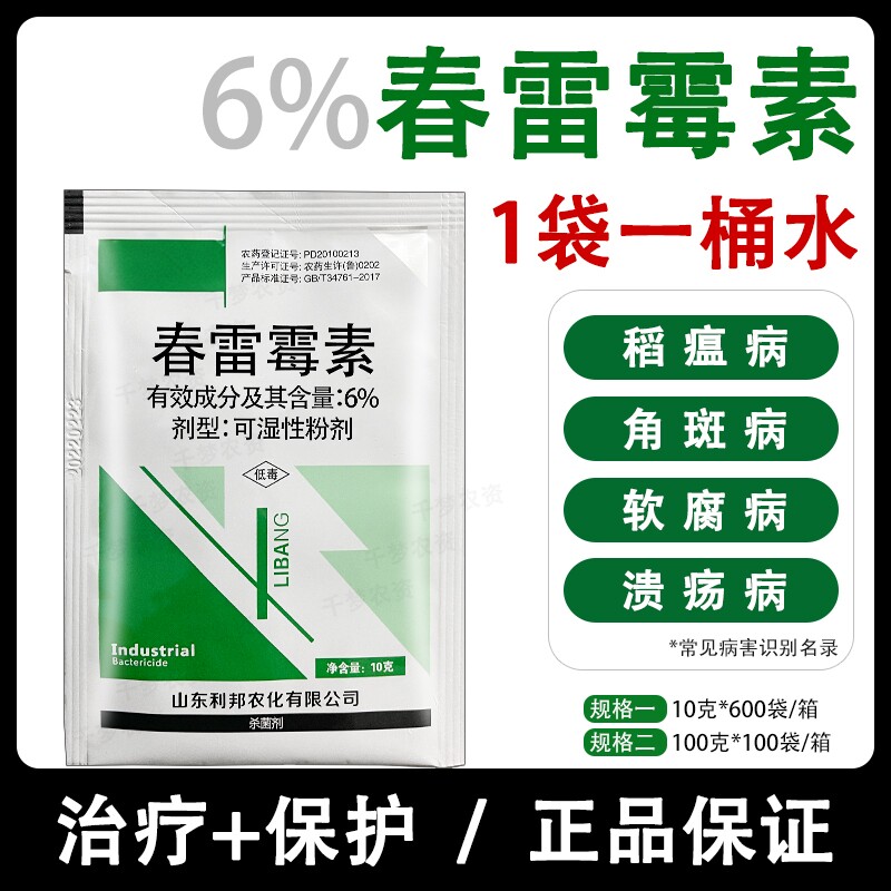 6春雷霉素水稻瘟病角斑软
