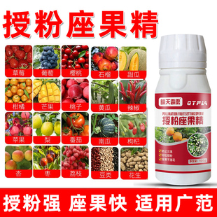 大樱桃果树授粉药座果精座果肥荔枝桃李授粉剂防落果树蔬菜叶面肥