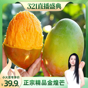 【先加购！20号烈儿0元付定】金煌芒新鲜水果当季芒果整箱包邮