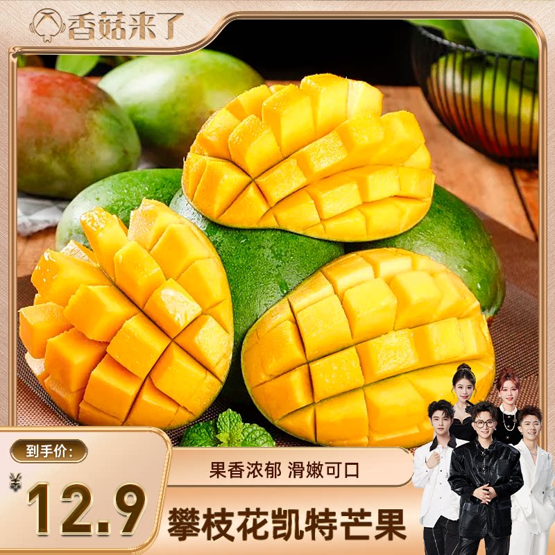 【香菇来了】正宗四川攀枝花凯特芒果新鲜应当季水果大青皮包邮