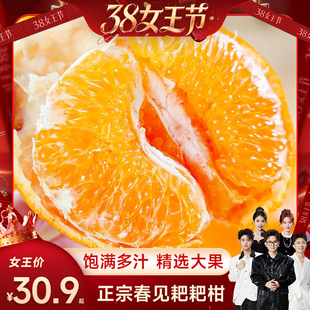 【香菇38女王节 】正宗四川春见耙耙柑新鲜现摘应水果整箱