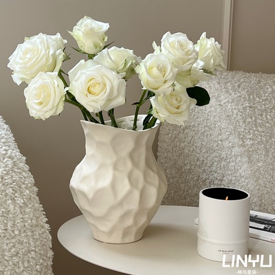 [小红书推荐】水培陶瓷花瓶！