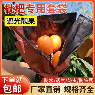 速发枇杷套袋专用袋果水套袋神器橙橘柑子袋子果套袋防虫防鸟防晒