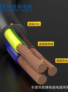 正标05VV-F 5*.2 5MYD无氧铜 大平方护套线 VDHE CE 环保