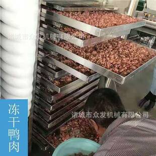 山东食机品干机厂 纳米液体冻干家机 1-30平鸡肝猪肉冷冻冻干燥