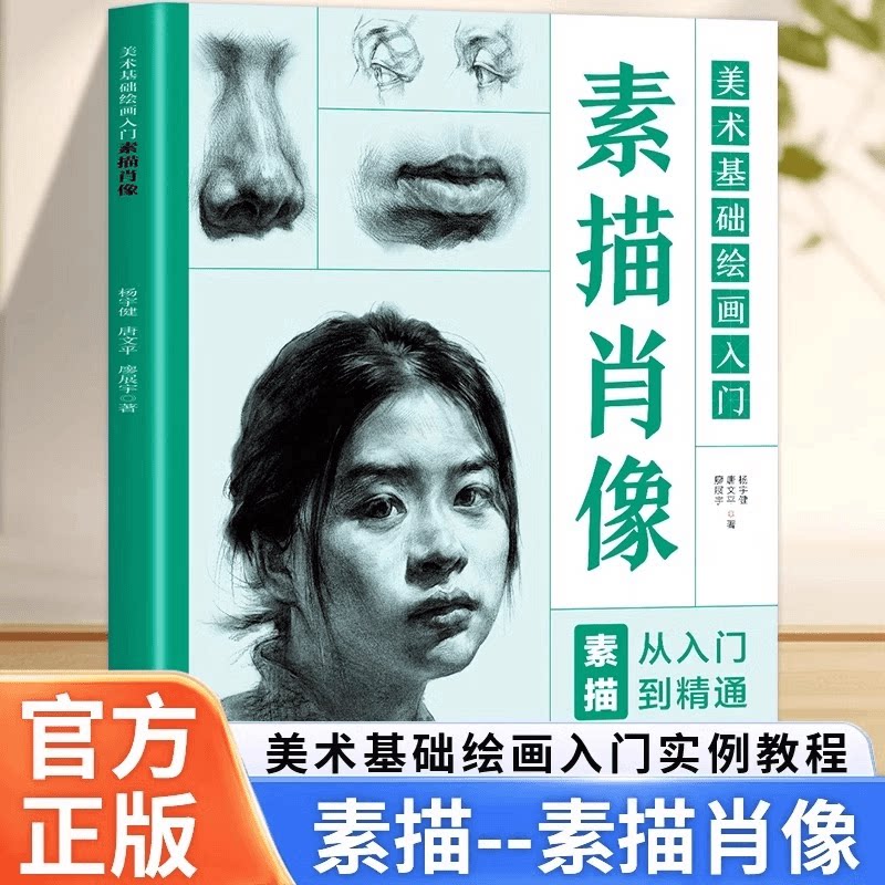美术基础绘画入门素描肖像素描从入门到精通12个实例教程基础知识