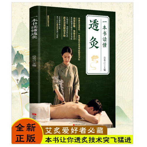 一本书读懂透灸 中医养生精选民间传统疗法 艾灸按摩家庭常备书籍