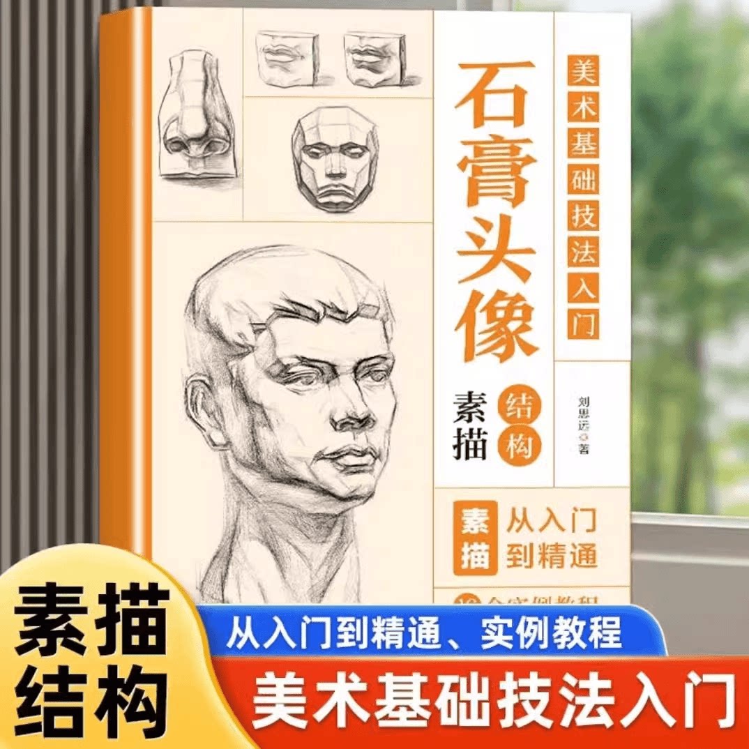 美术基础技法入门 石膏头像 素描结构 从入门到精通 美术高考入门