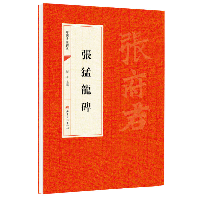 张猛龙碑 靳永主编 山东画报出版社 中华文化文字 中国书法